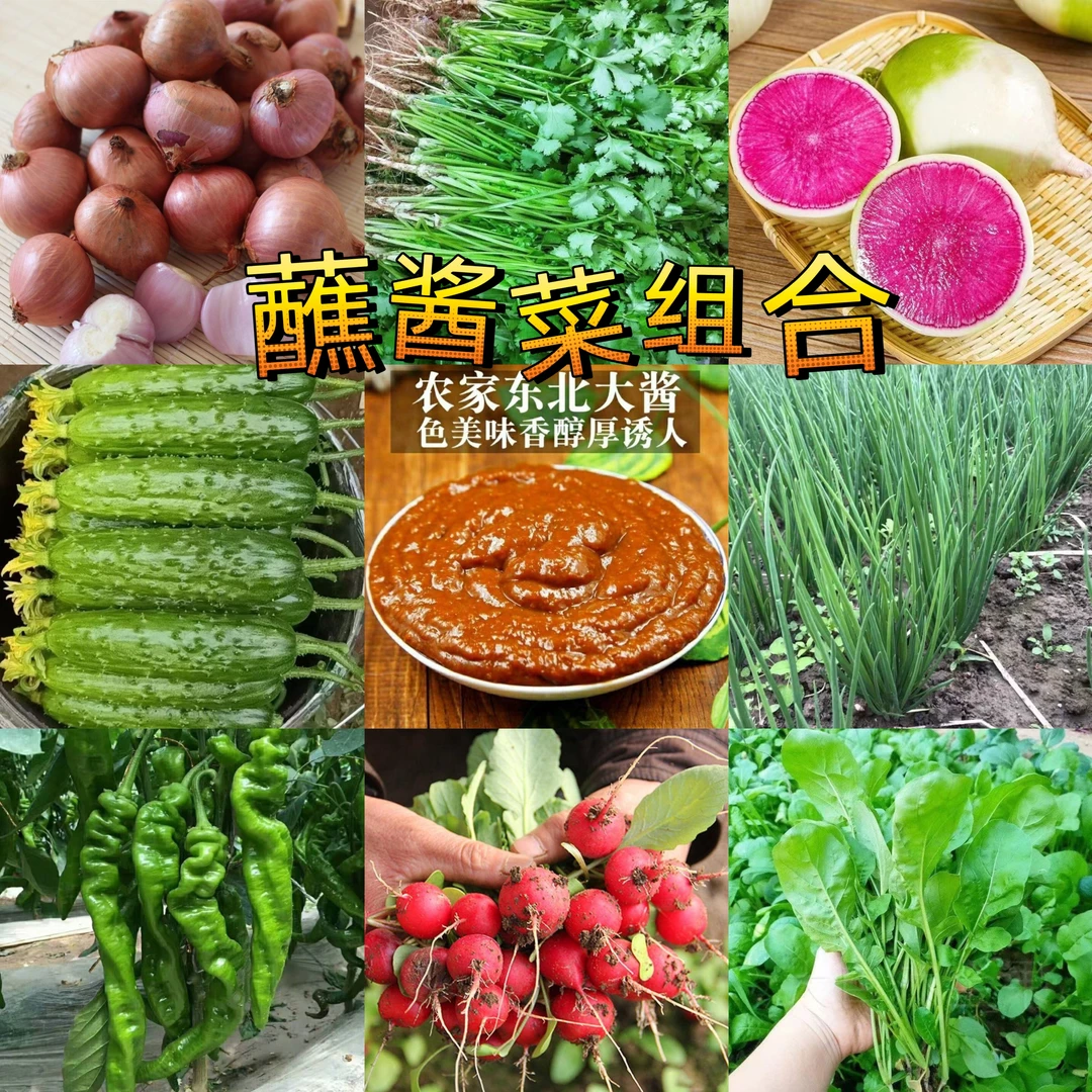 东北蘸酱菜组合新鲜采摘净3斤顺丰包邮绿色蔬菜叶菜