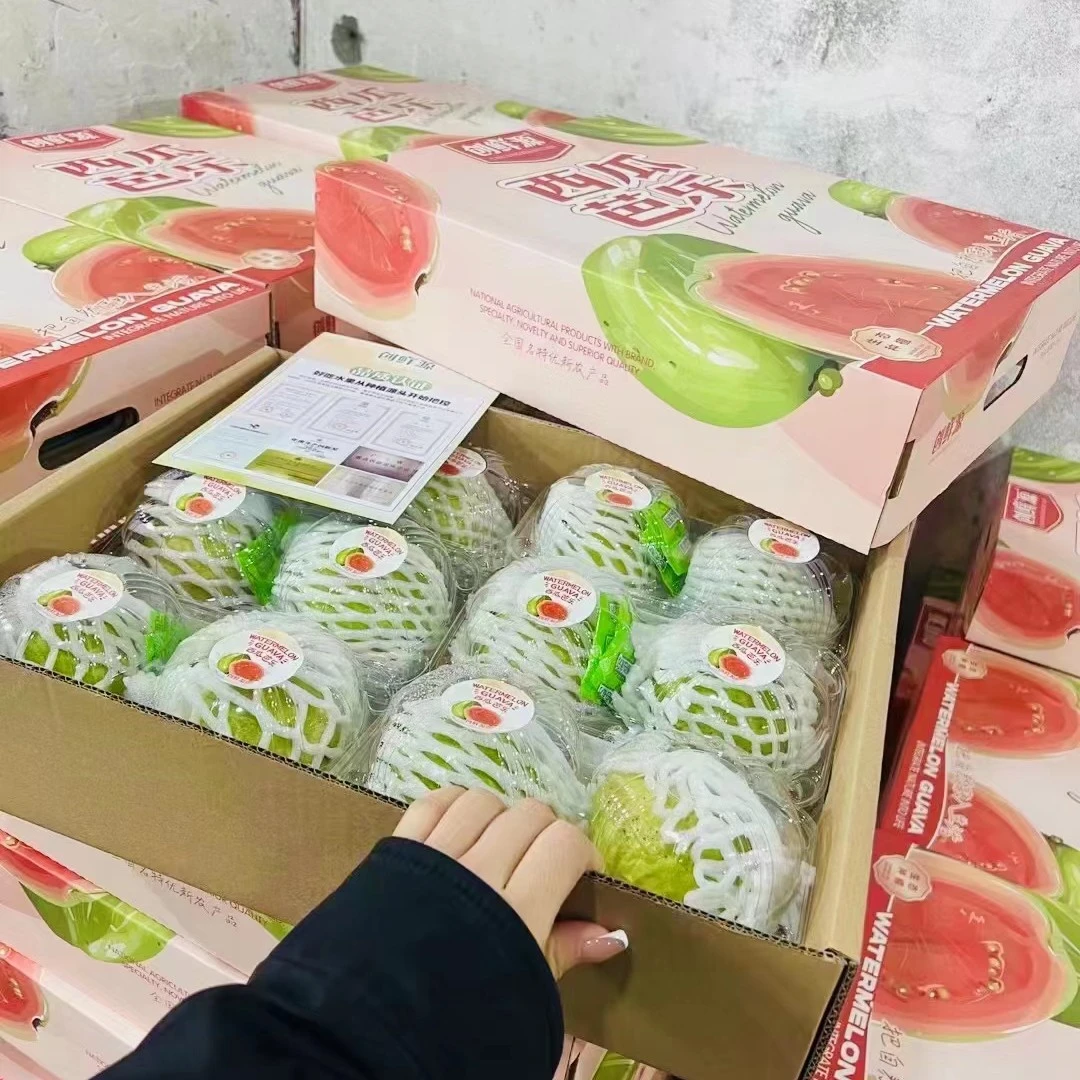 【依芬多芭乐】一件8-10颗，毛重3.5斤，顺丰包邮