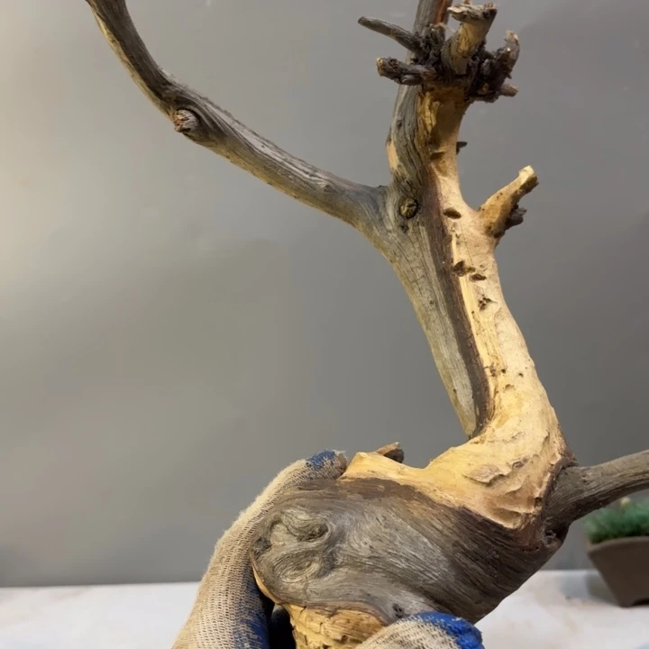 用***6崖柏双色高油雕刻坨坨