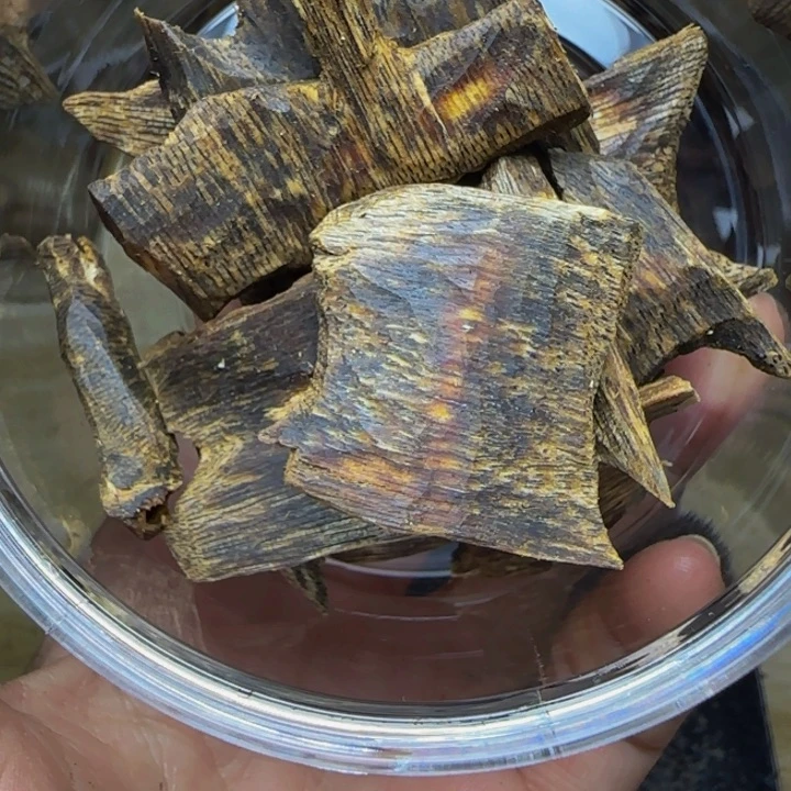 用***3树脂制品海南绿奇树心料30克