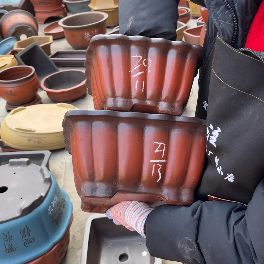 紫砂花盆盆景艺术