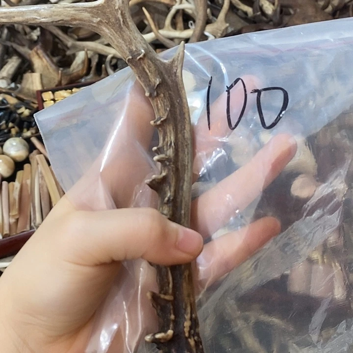 无非金属鹿角鹿角鹿角鹿角