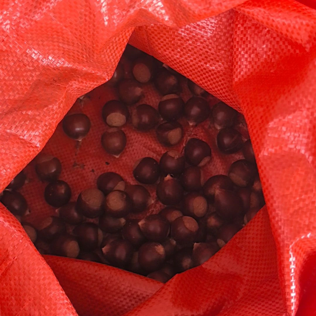 石台小李代购石台土特产