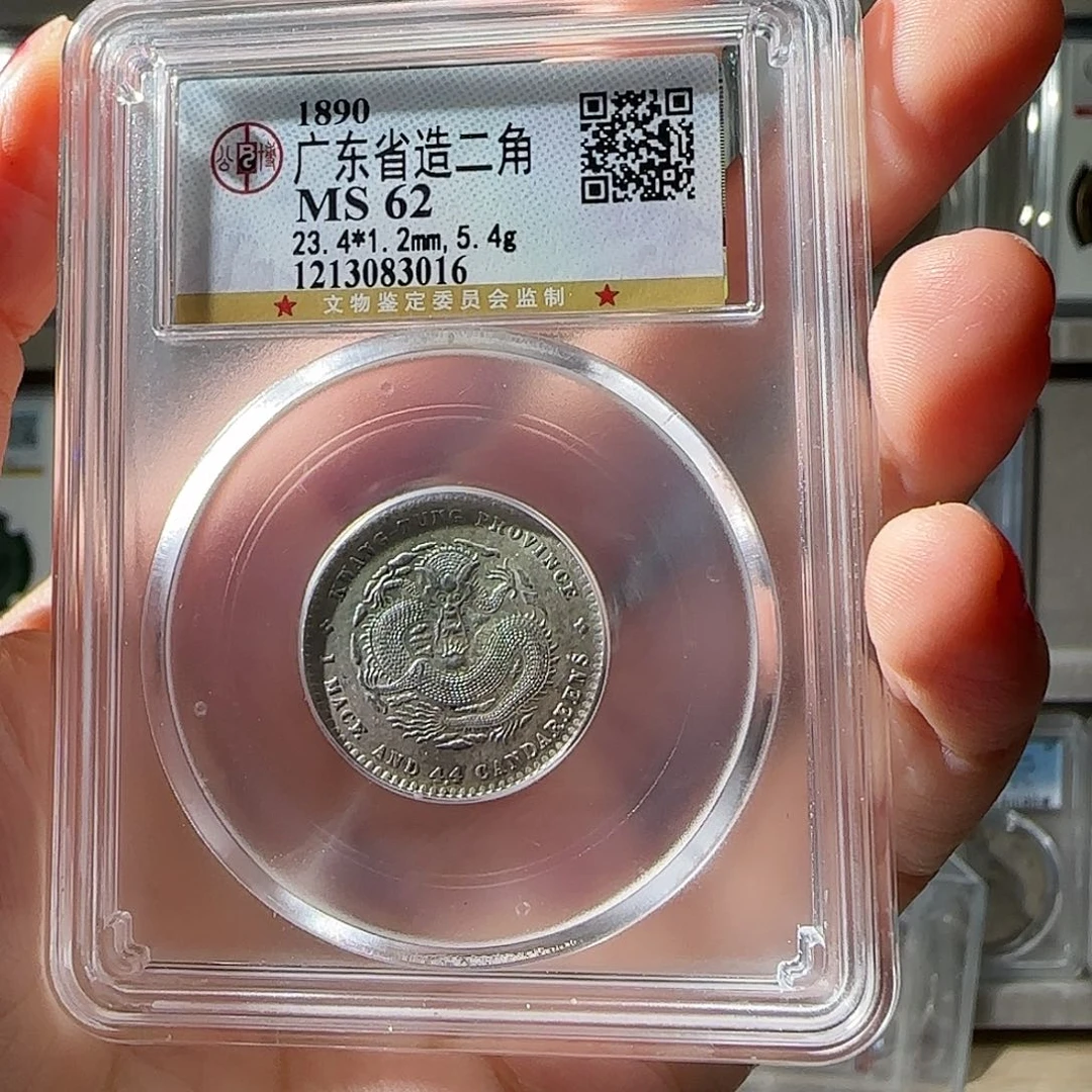 银扶*广东二角龙-3016-星星绿FF