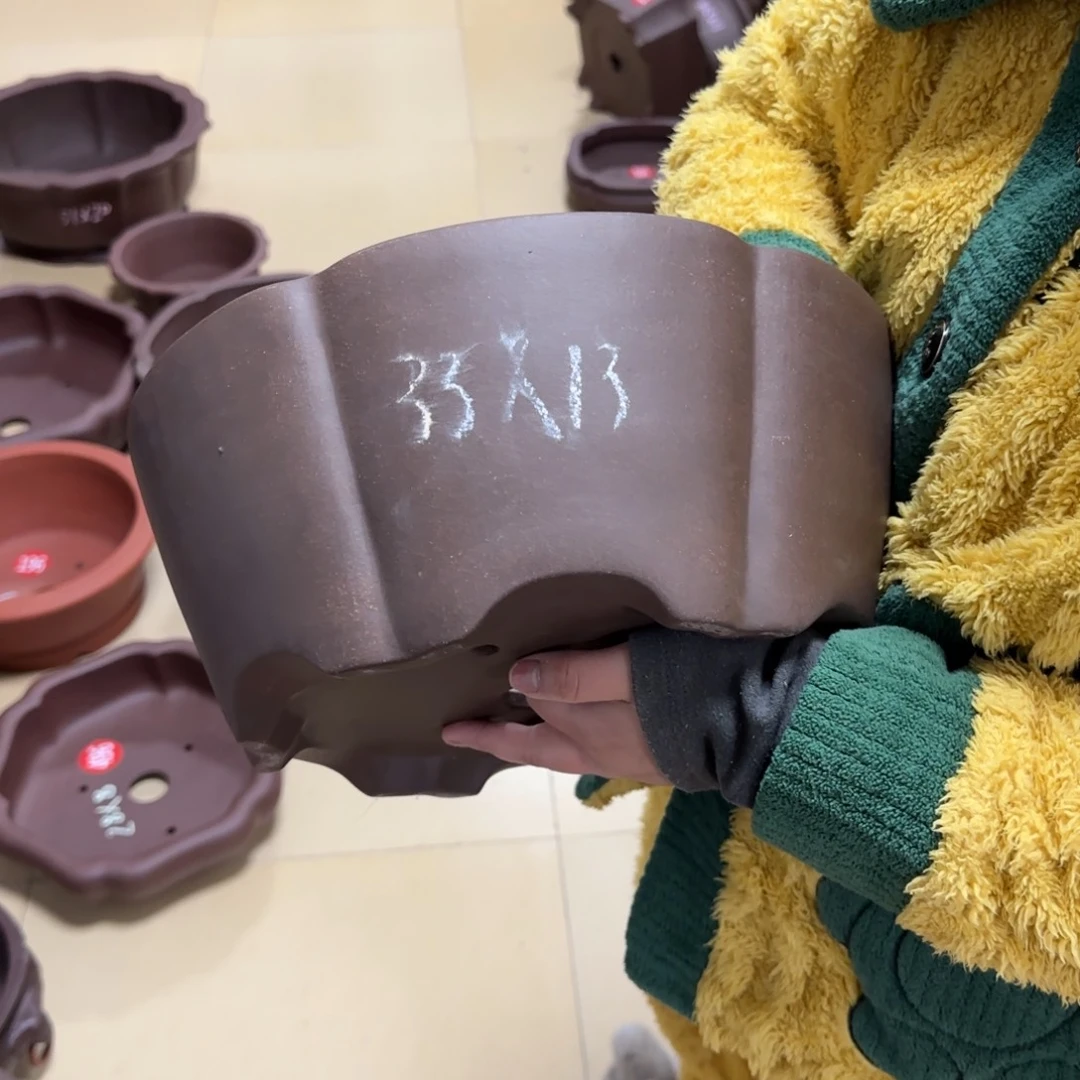 紫砂花盆呜呜呜呜