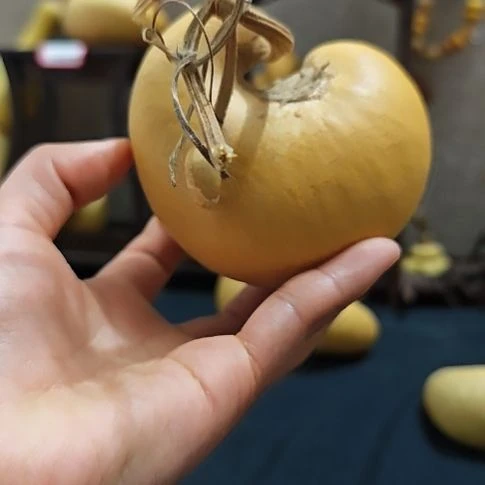 y***h葫芦娃葫芦葫芦葫芦