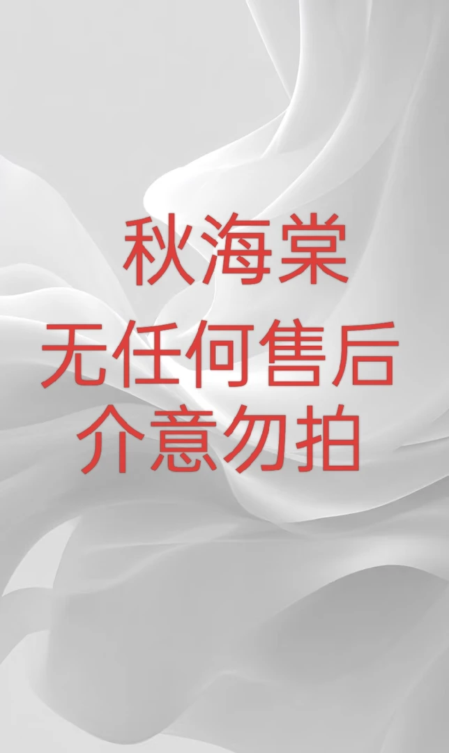 麻叶秋海棠无任何售后