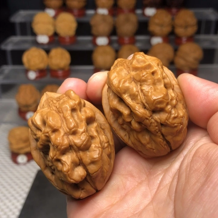 把件文玩核桃27毒瘤