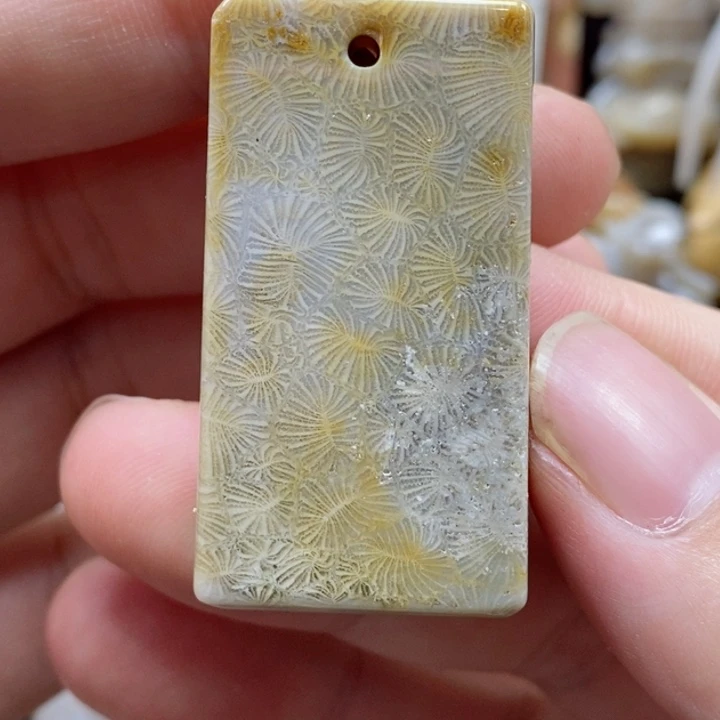 硅化珊瑚（珊瑚玉）颈饰未镶嵌