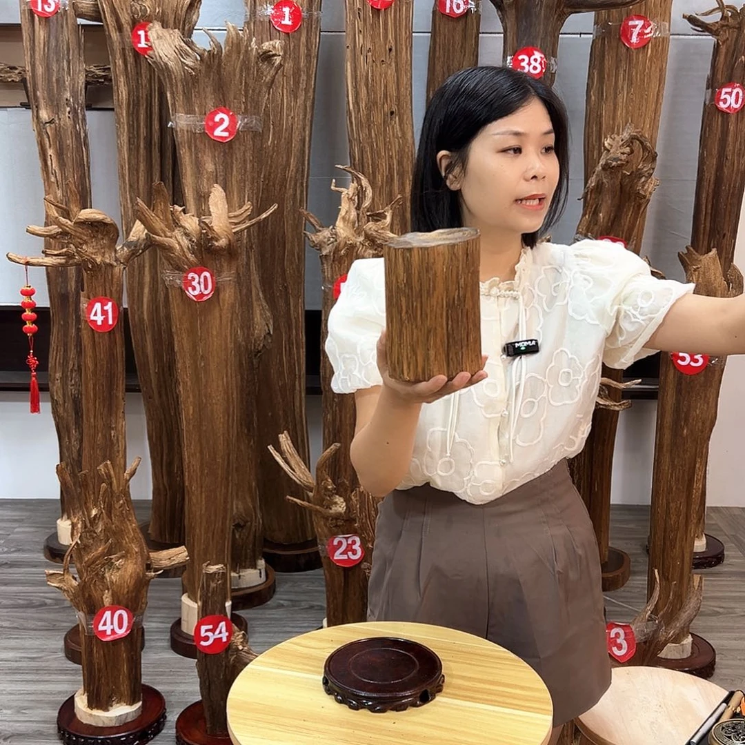 沉香沉香碎屑碎屑