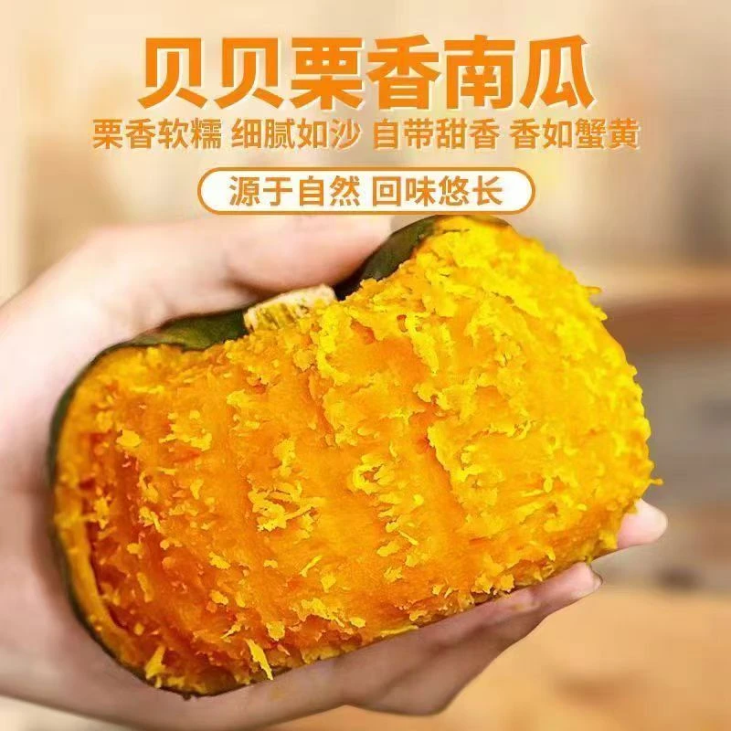 肉厚肉质正宗贝贝南瓜新鲜板栗味种植美味辅食营养皮薄