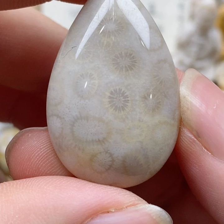 颈饰未镶嵌硅化珊瑚（珊瑚玉）小
