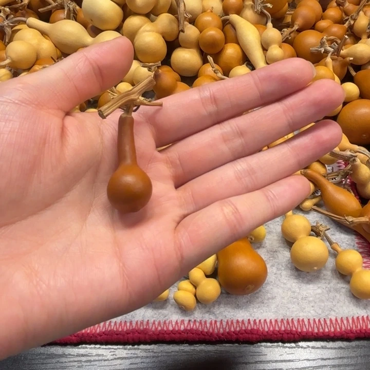 超*啊超人的一把小毒霸葫芦