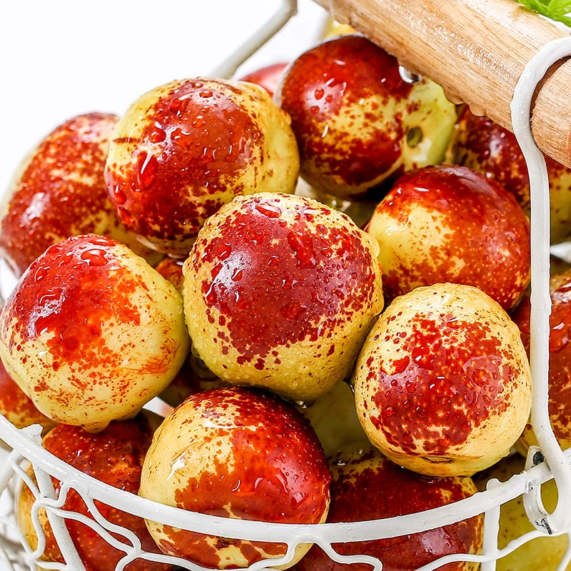 5斤【正宗陕西大荔冬枣】新鲜脆甜应季水果红枣鲜枣产地直发-0.5斤