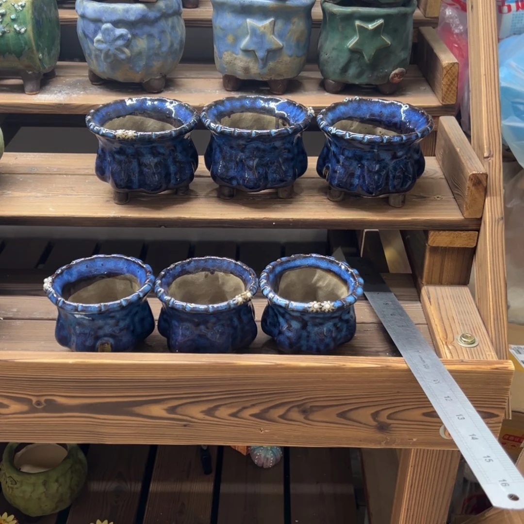 清唐朝多肉花盆百搭