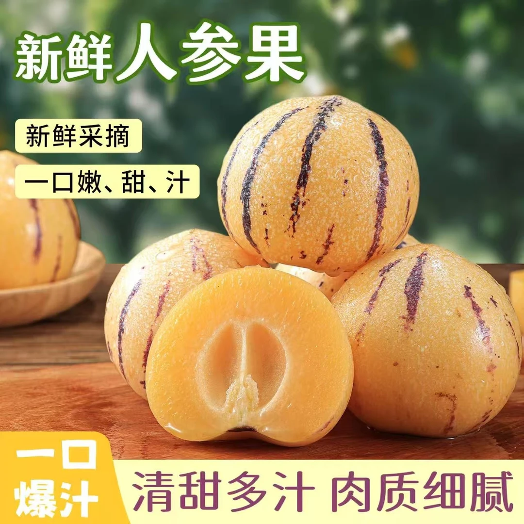 【真•树上熟】云南石林人参果 花皮 圆果黄肉 精选清甜多汁产地直发