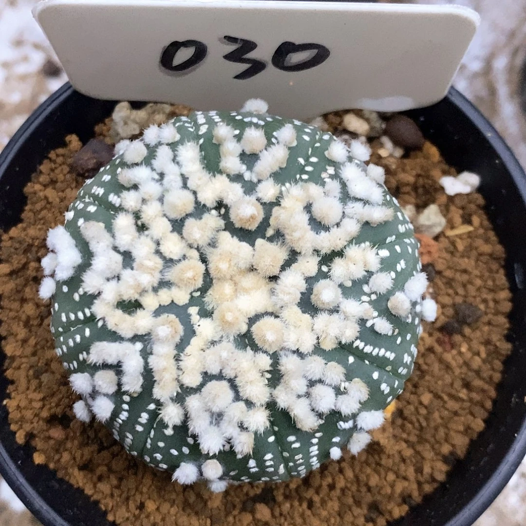 030福利特价来了哦亲