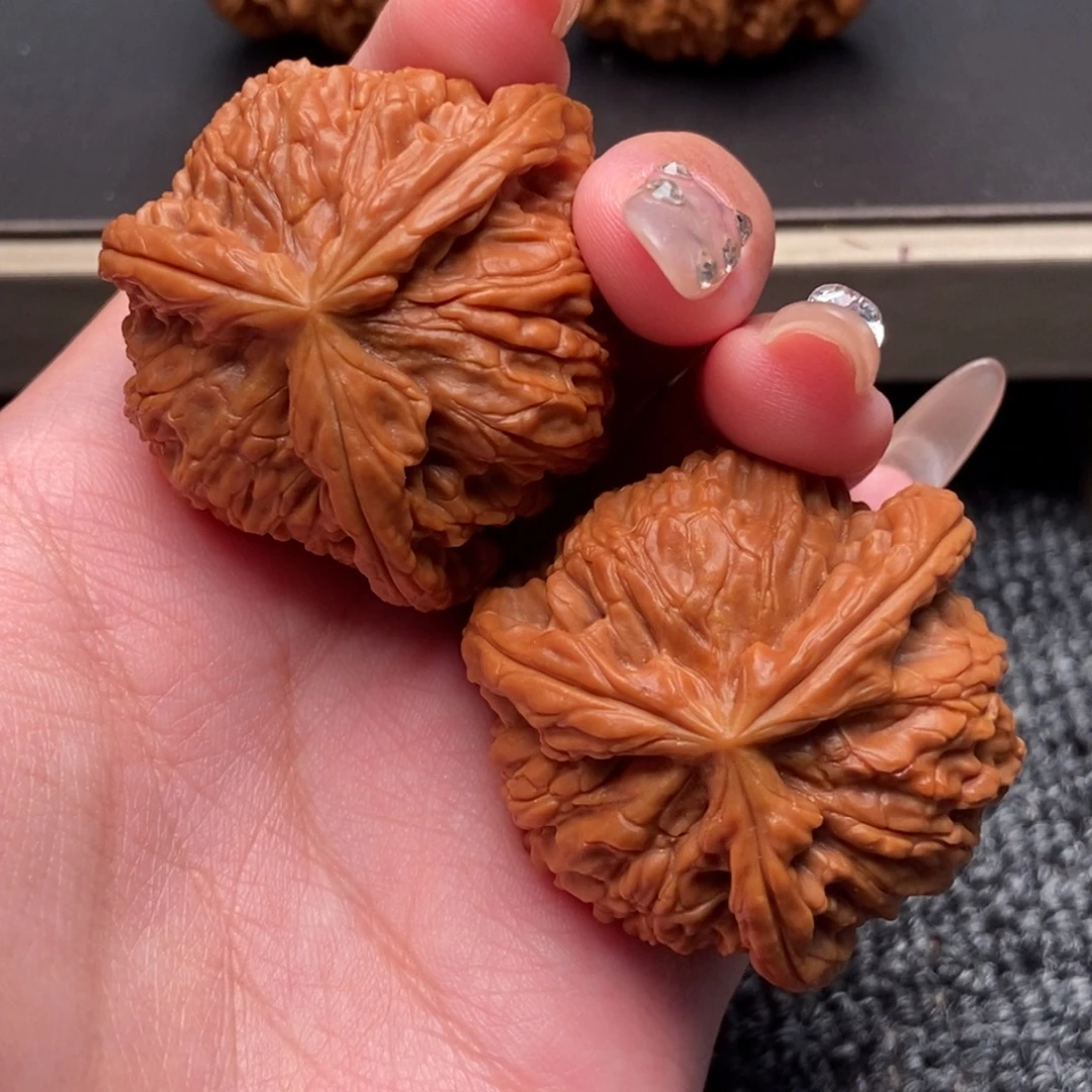 天***星木质类白狮子正奔