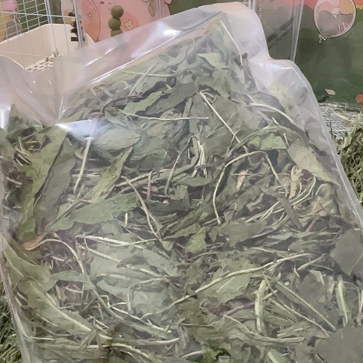 烘干野生蒲公英250g