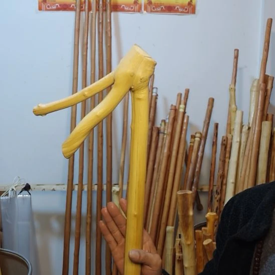 歌***哥秦岭石山红荀子，牛筋木