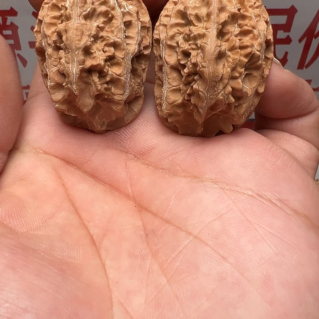 吊坠文玩核桃甲壳虫