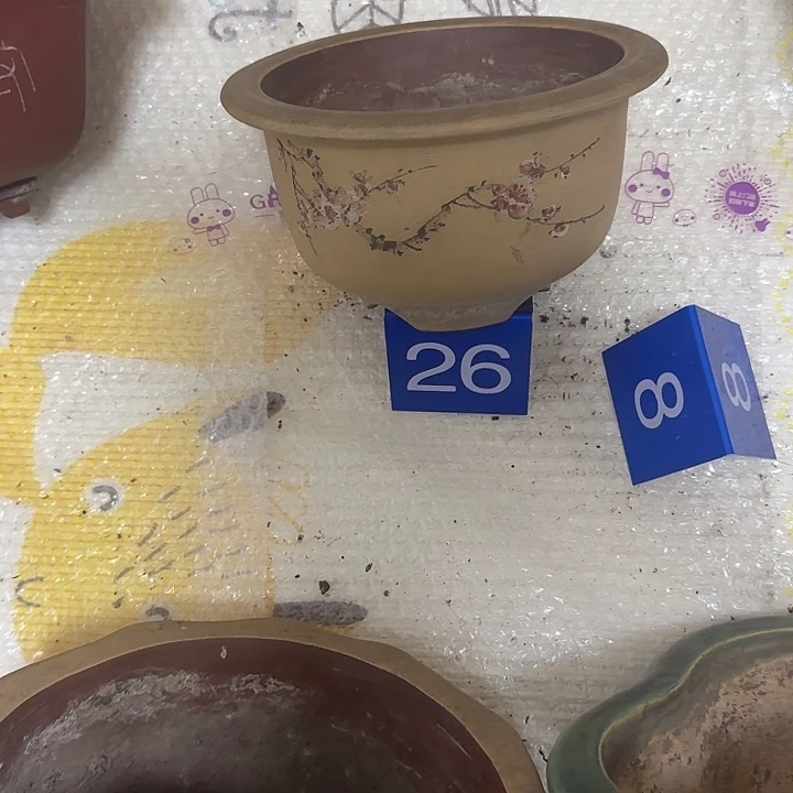 b***y完全开放紫砂花盆一个