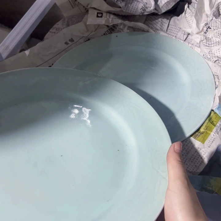 景德镇高温瓷盘怀****生