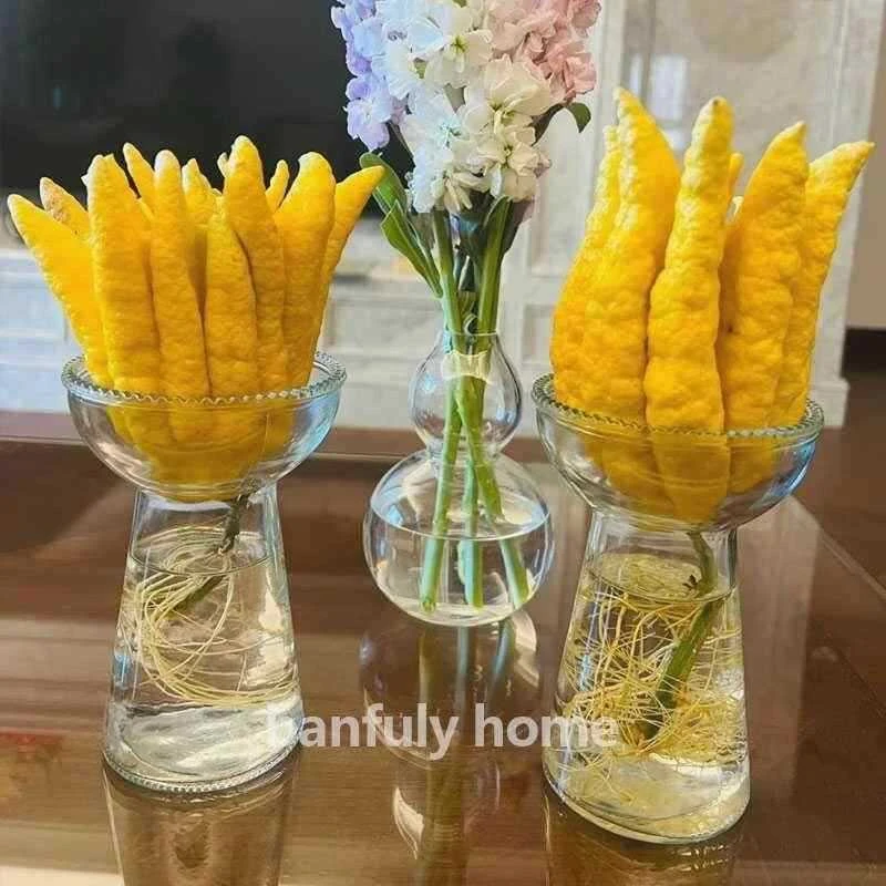 花架玻璃养佛手柑的托盘水养佛手瓜玻璃花瓶高颜值佛手果水培器皿