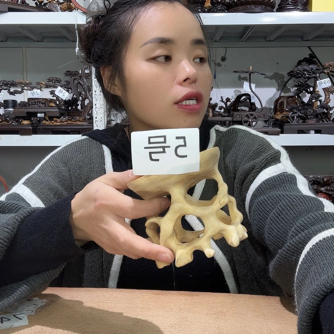 大果紫檀（缅甸花梨）5