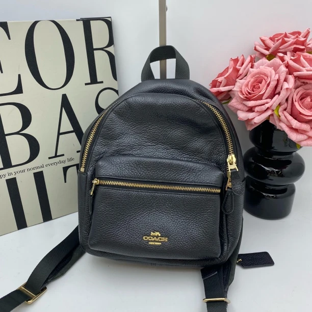 95新 COACH/蔻驰 17959 双肩包