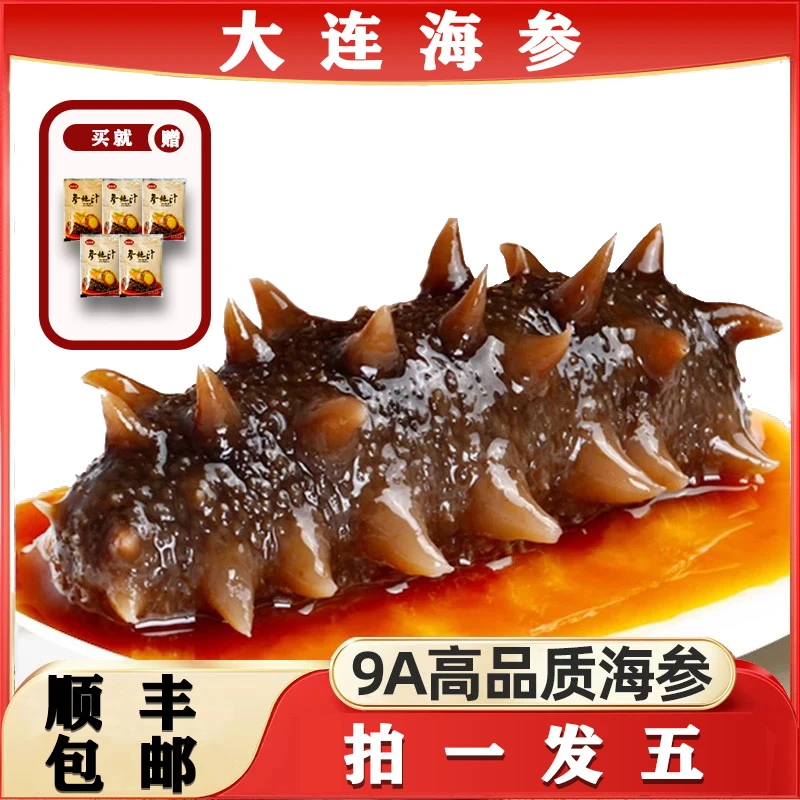 即食海参（一斤4-6头）鲜食海参辽刺参大连海参顺丰包邮礼盒 送一斤
