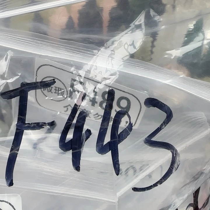 G***d未镶嵌摆件水晶f443