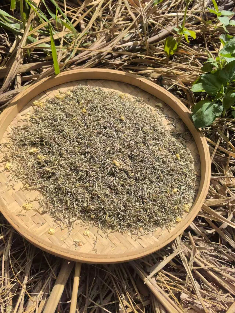 2025年雪芽茉莉花飘雪浓香调味茶
