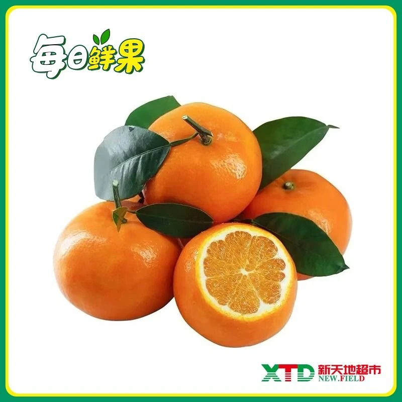 【热销水果】袋沃柑1.8-2斤/袋