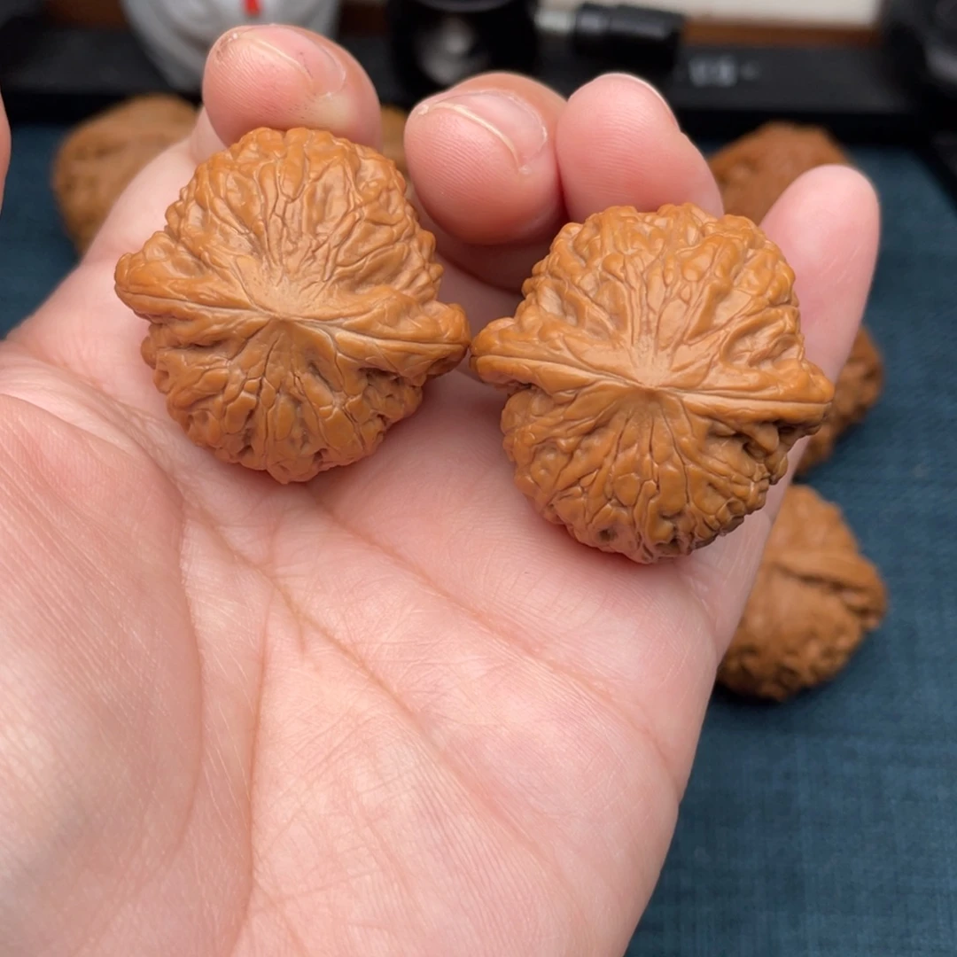 文玩核桃把件全品红皮铁锤35.8