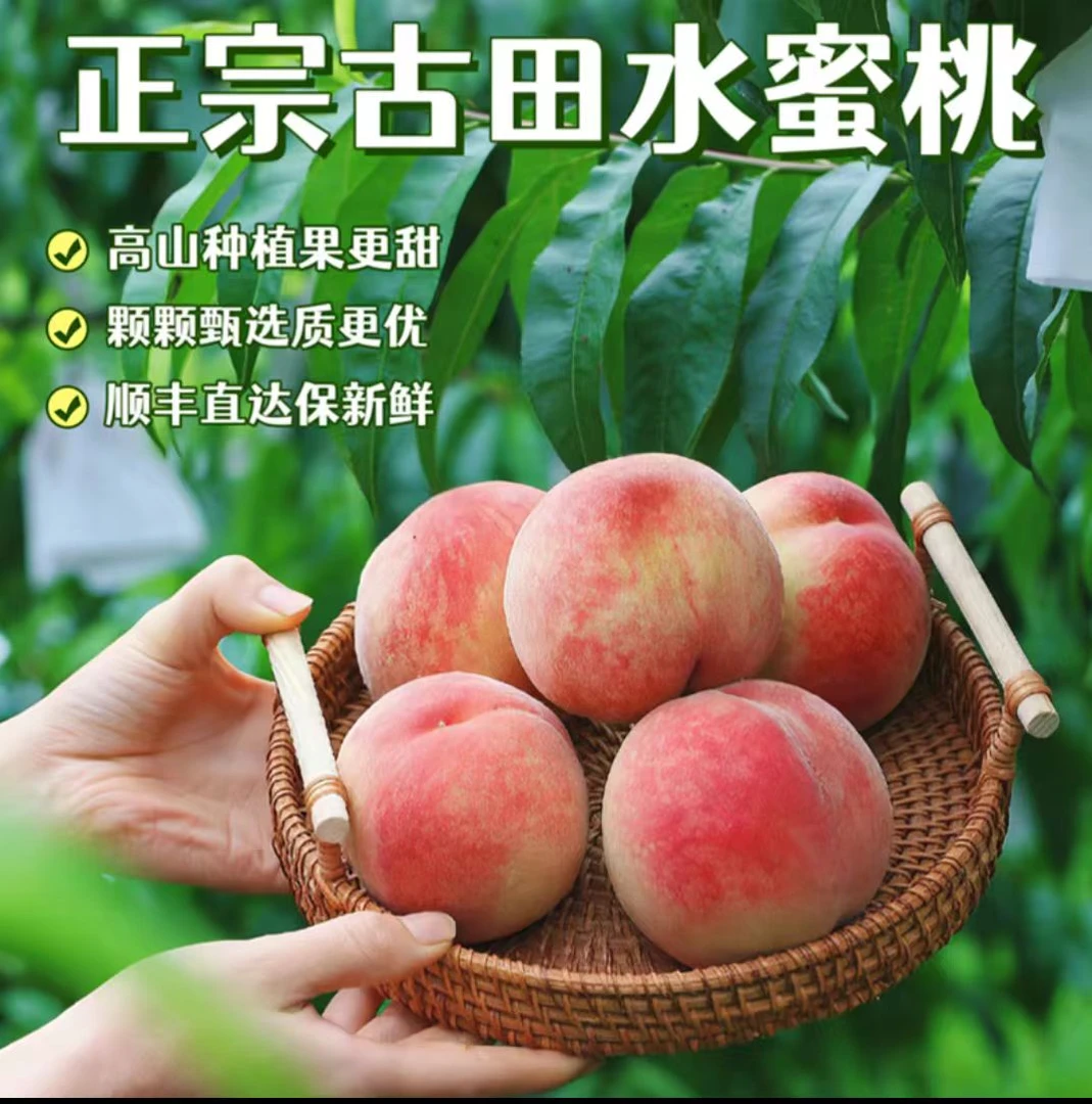 【顺丰直达】正宗古田水蜜桃脆软两吃，现摘现发新鲜水蜜桃