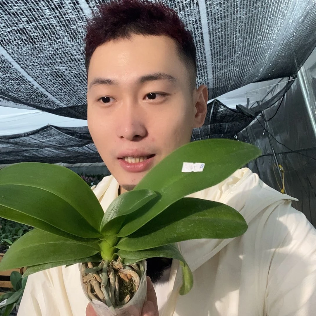 无花朵紫与铃铛387
