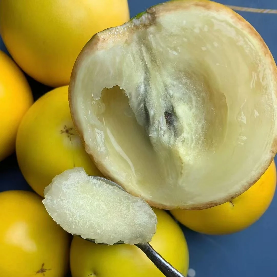 云南黄金牛奶果高端黄晶果新鲜冬蜜果冻黄宝石版纳雅美果稀有水果