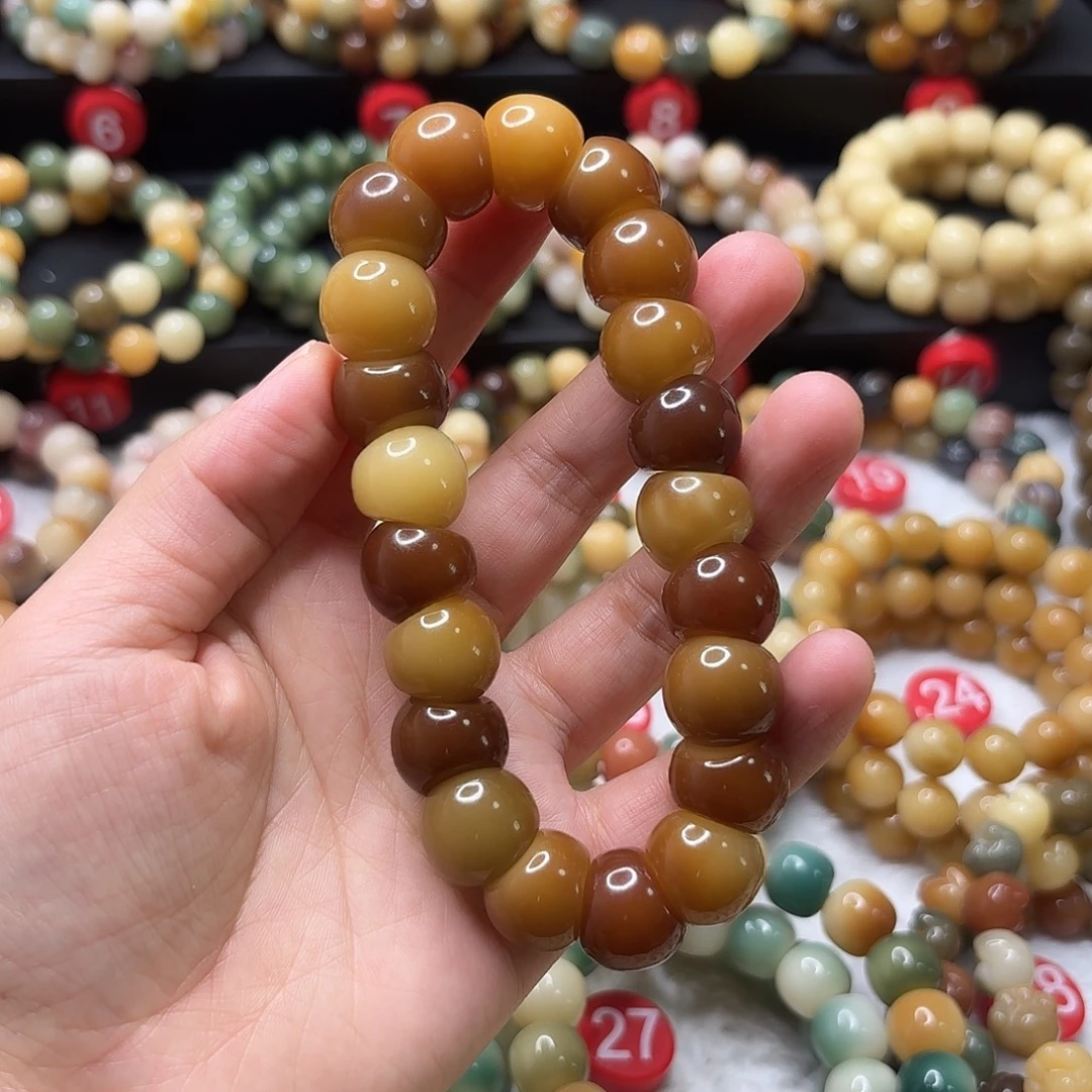 菩提根/象牙果手串大肠