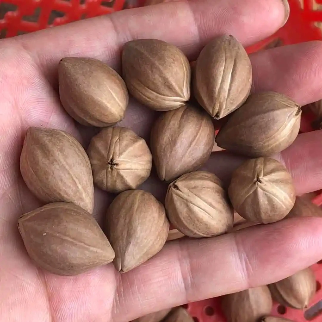 橄榄核雕手串链接