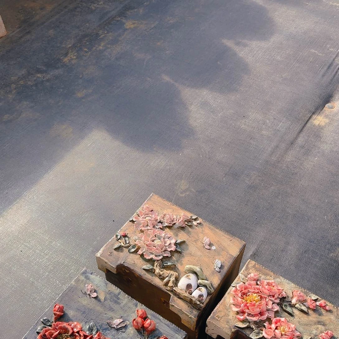 约*芬达精品多肉老桩