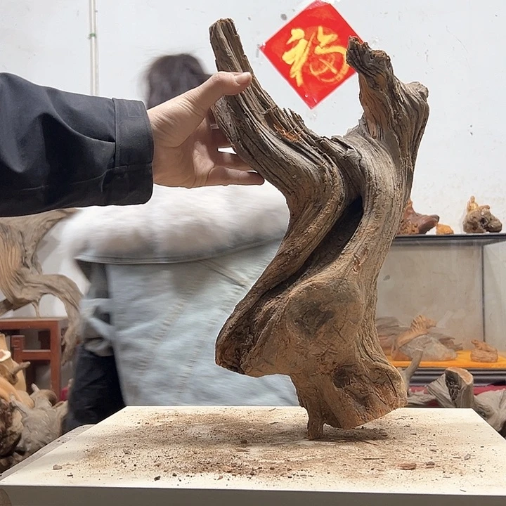 柏木笑**川我们的生活是