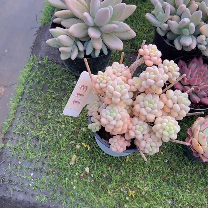 健健康康平平安安