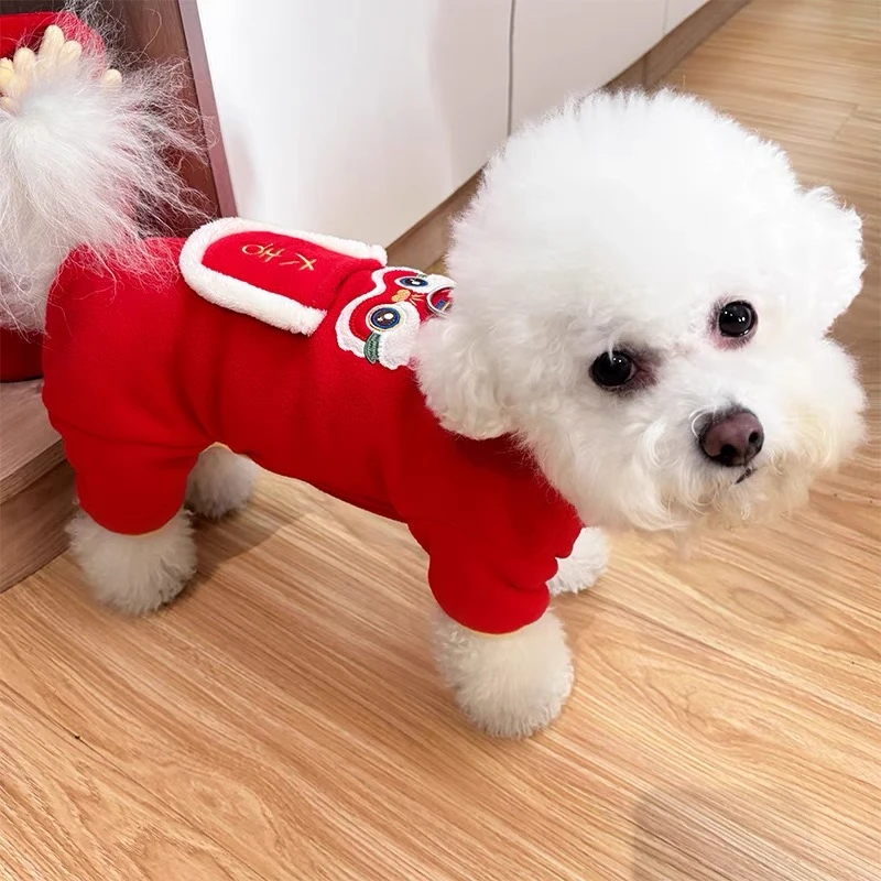 宠物小狗四脚泰迪比熊