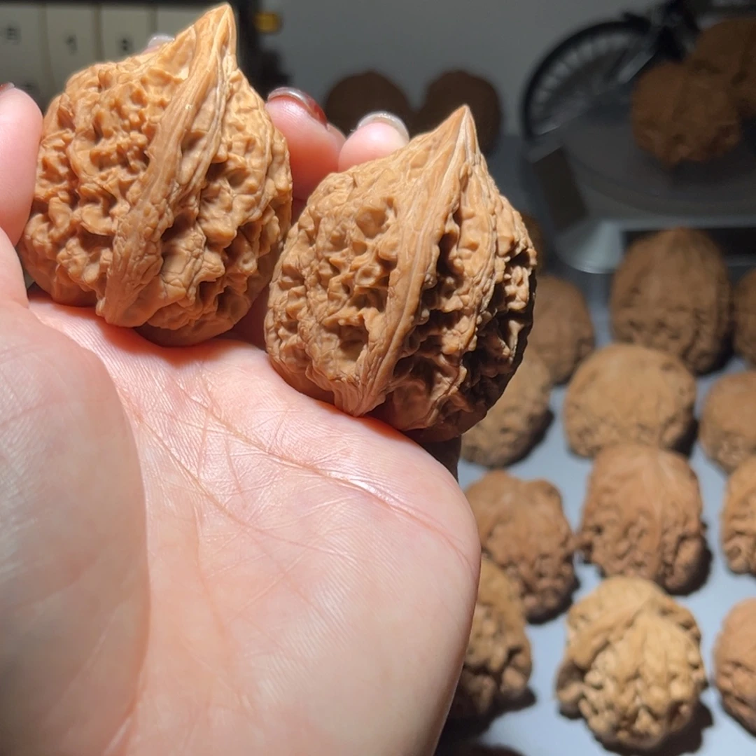 染***。木质类大沽石42全品