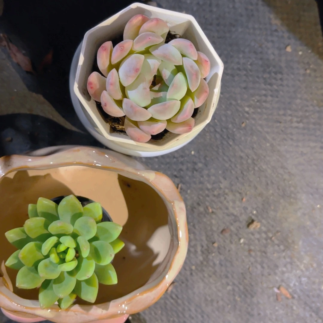 赵****新疆包邮新疆包邮