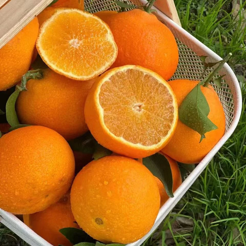 【爱媛果冻橙】 手剥橙新鲜水果可以吸的橙子带箱8.2-9.2斤