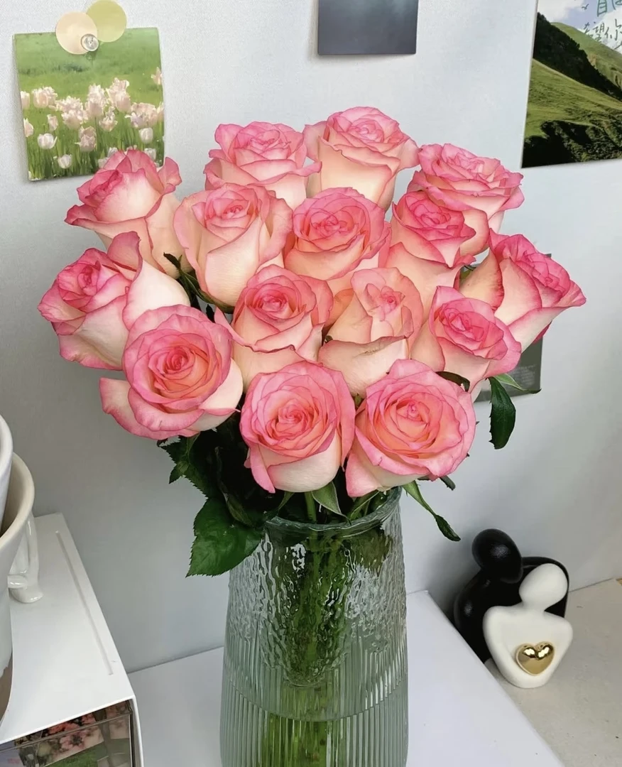 爱莎云南鲜花基地直发送保鲜剂