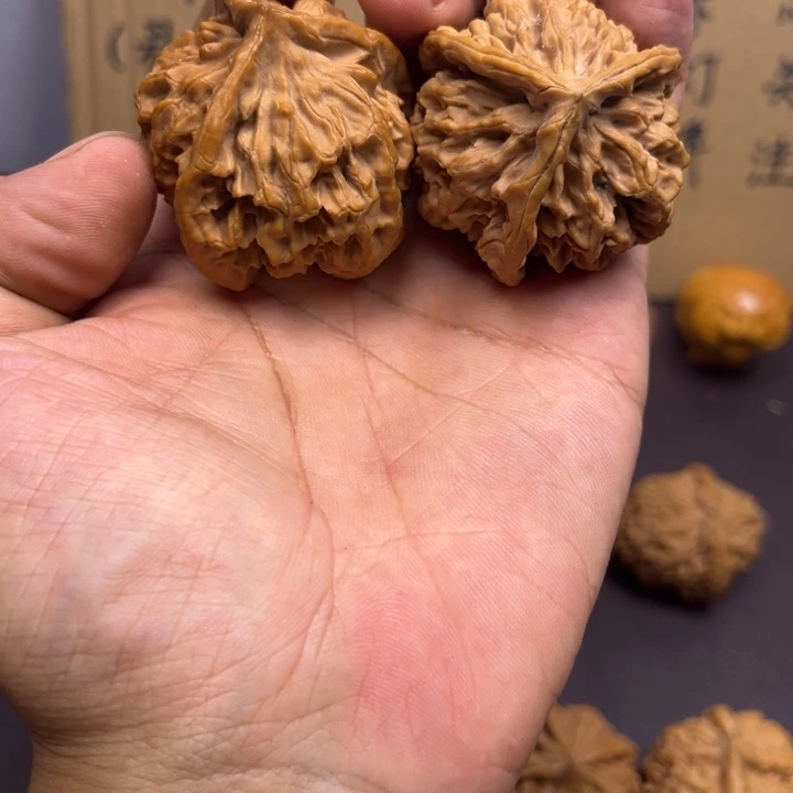 司***Y菩提籽类帝王三棱有瑕疵 反油