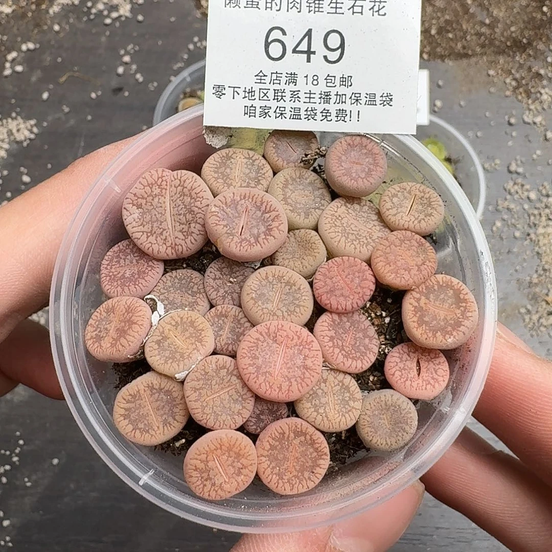 649满18 包邮保温袋联系客服